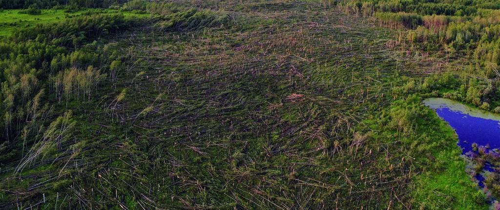 No alt text available for image