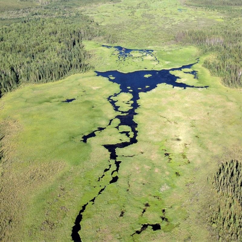 No alt text available for image