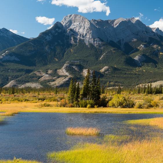 Wetlands in the Mountain Region