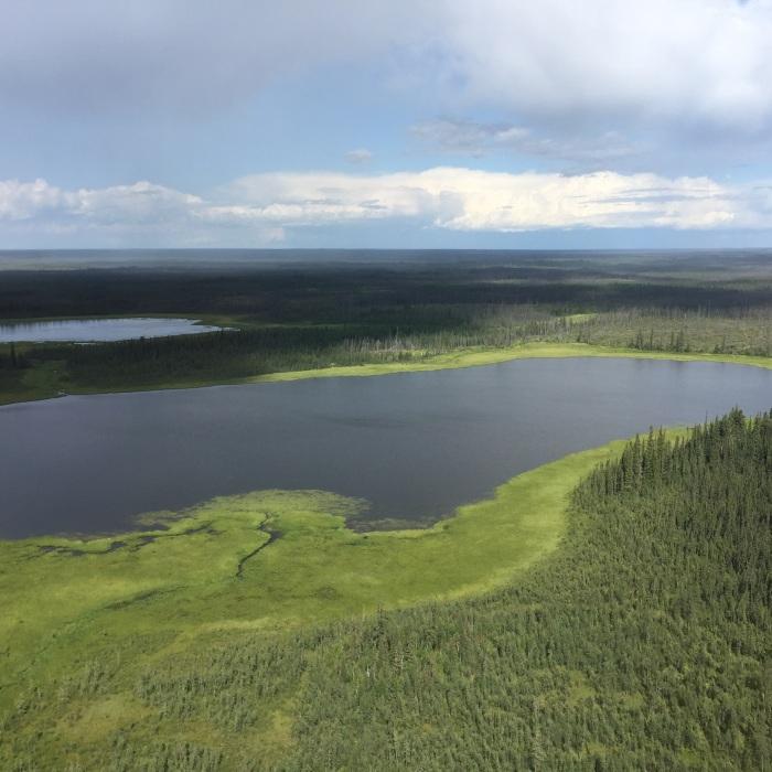 Regional Patterns in the Water Balance of Alberta's Wetlands
