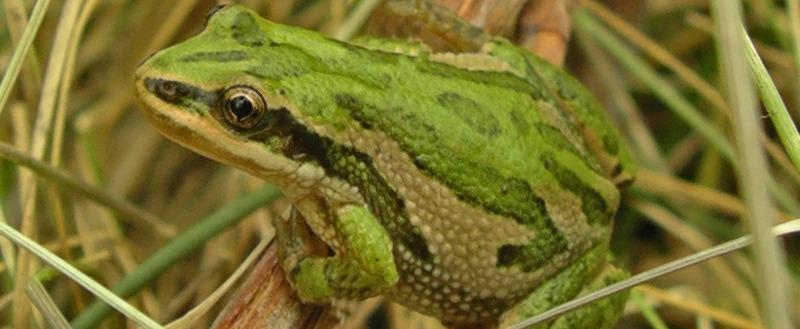 No alt text available for image