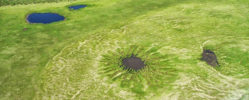 No alt text available for image