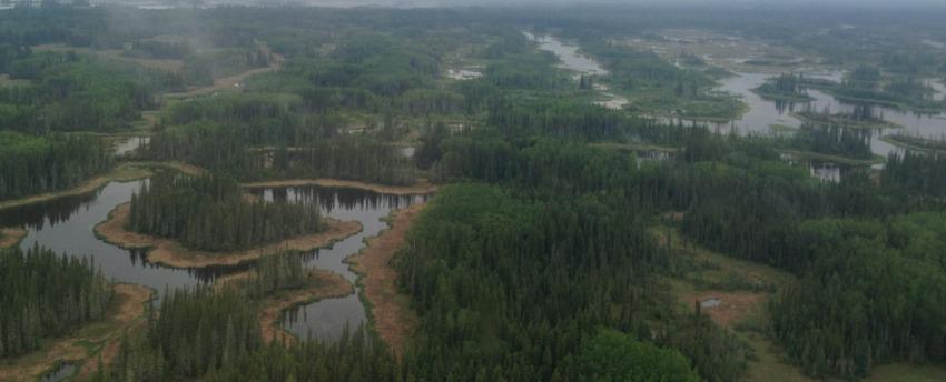 No alt text available for image