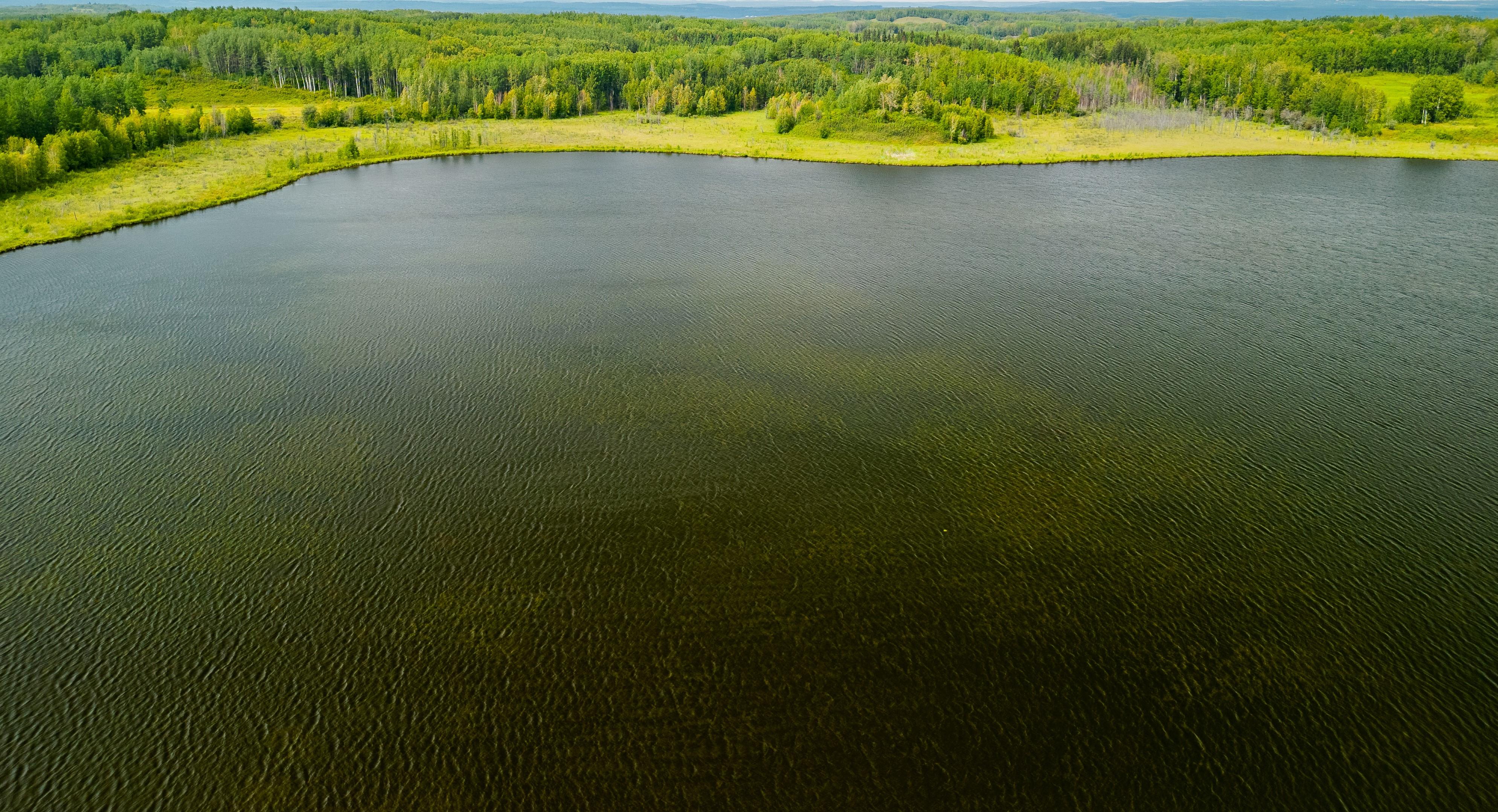 No alt text available for image