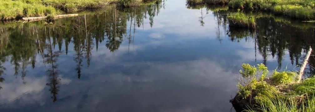 No alt text available for image