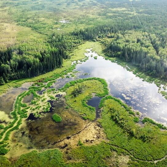 HydroPatterns: Mapping Open Water Presence and Change