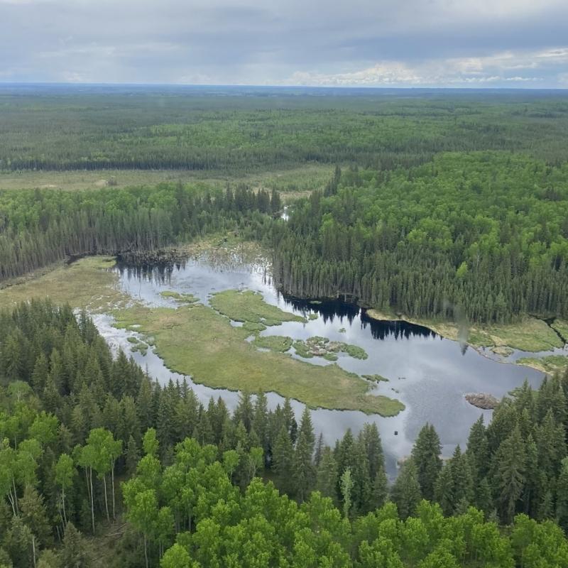 Distribution of Wetlands in Alberta