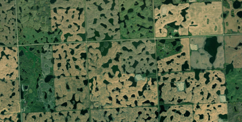 No alt text available for image