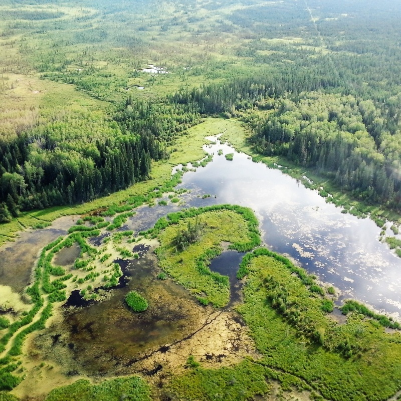 Distribution of Wetlands in Alberta